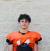 Robison