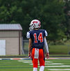 Pittman